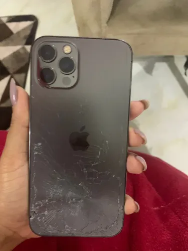 iPhone 12 Pro  1.000
