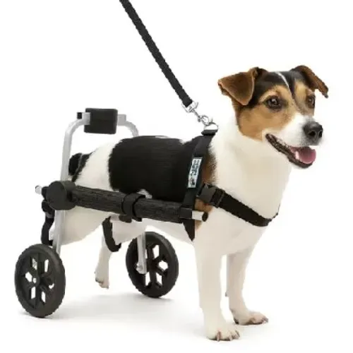 Cadeira de 2 rodinhas para seu pet