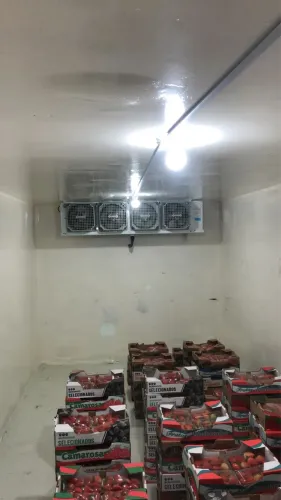 Baú térmico 