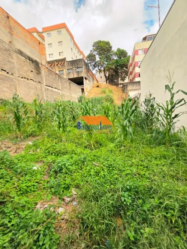 Lote de 327,00m² no bairro Caiçara, Belo Horizonte/MG