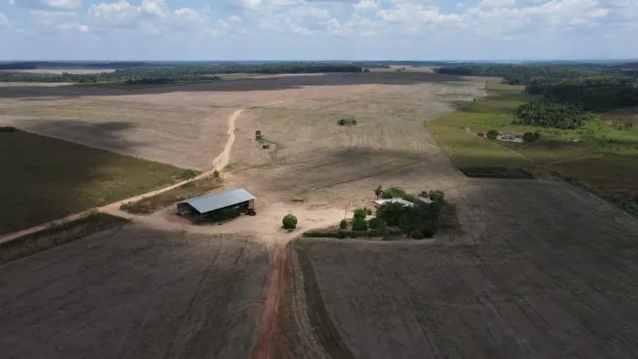 Fazenda Alto Padrão