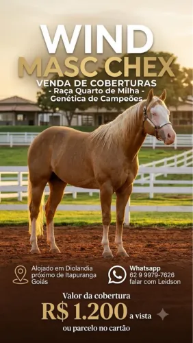 VENDA DE COBERTURAS