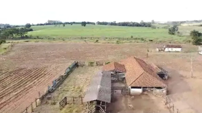 Fazenda Área Total 88,75 Alqueires Área em Cana 55,6 Alqueires 14 Alqueires a 50 Toneladas