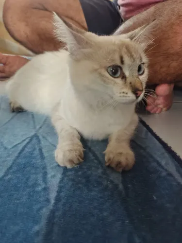 Doação, Leia +- 1 ano