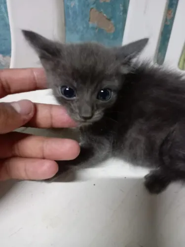 Doação