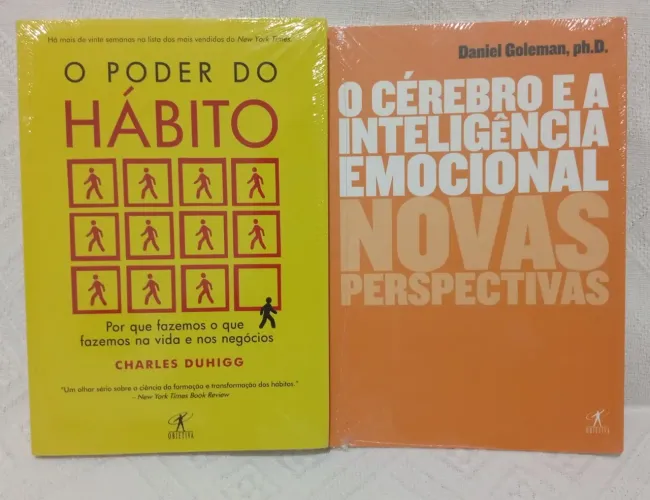 O cérebro e a inteligência novas perspectivas Daniel O poder do hábito Charles Duing