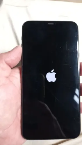 iPhone pro Max 256 GB