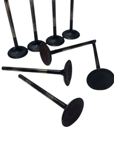 Kit Valvulas Admissão Hb20 Creta Cerato Soul 1.6 Original