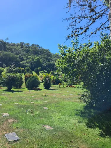 Vendo sepultura no Parque da Colina em Niterói.