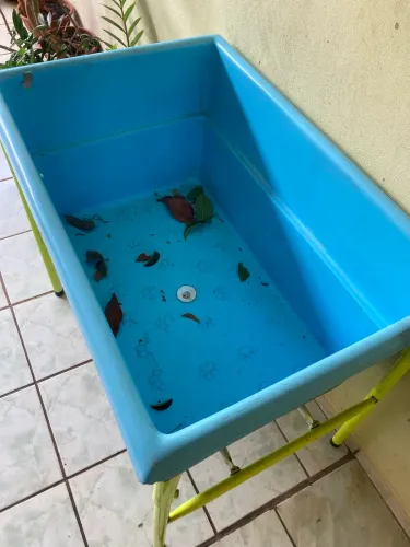 Banheira para pet