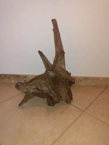 Raízes tratadas grandes para aquários