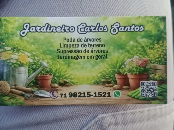 Serviço de jardinagem,poda de árvores, limpeza de terrenos em geral 
