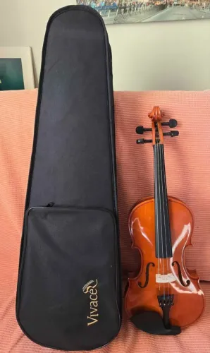 Violino vivace 4/4