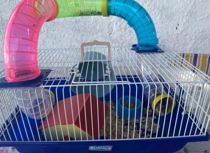 Gaiola para hamister 