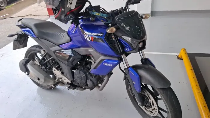 Fz15 2024