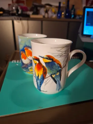 Canecas birds of the world