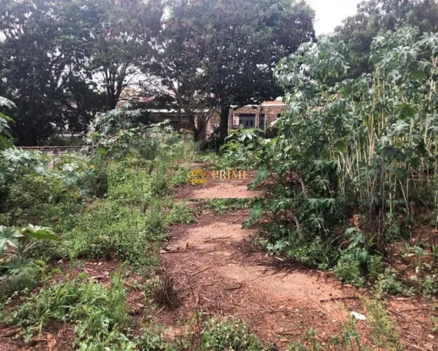 terreno - Jardim São Gabriel - Campinas