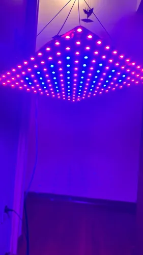 Painel LED Grow Light 169 LEDs Full Spectrum (25x25cm)