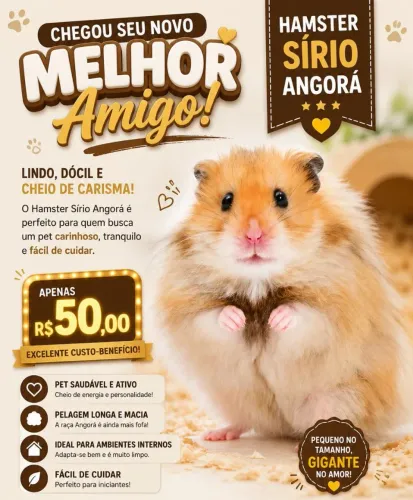 Hamster Sírio Angorá 