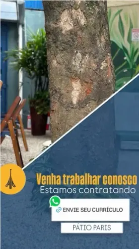 Vaga de Empresa - aux cozinha 
