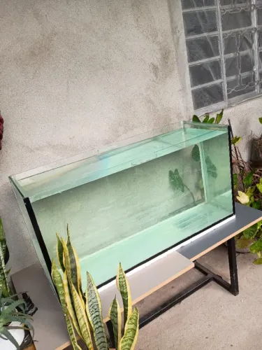 Aquário 200L