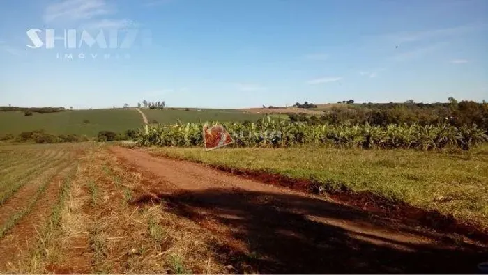 Chácara à Venda Próxima a Maringá | Topografia Plana e Área Produtiva 6640m²