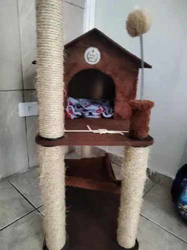 Casinha de gato