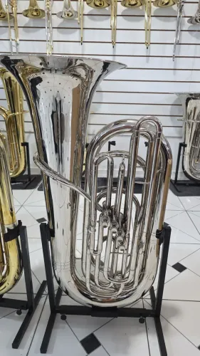 Tuba dolphin 