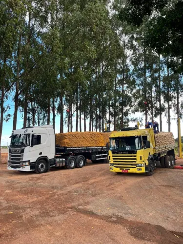 Scania P94 260 cv