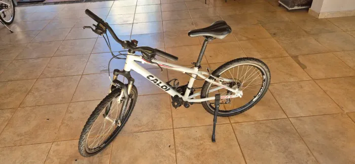 Bicicleta Caloi Wild aro 24