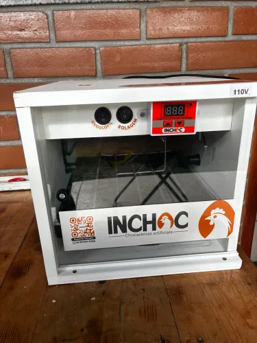 Incubadora e chocadeira de ovos