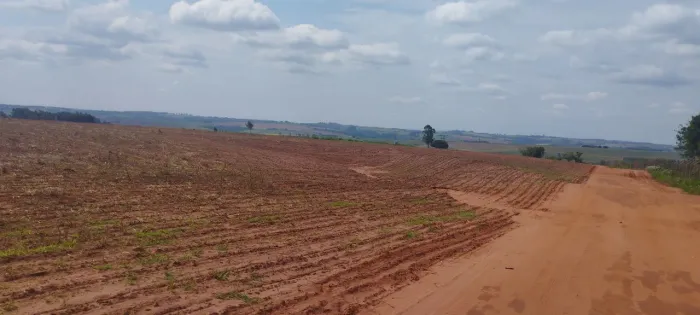 Lotes para Chácaras com 20.000 m2, Presidente Castelo Branco-Pr, R$ 330.000,00