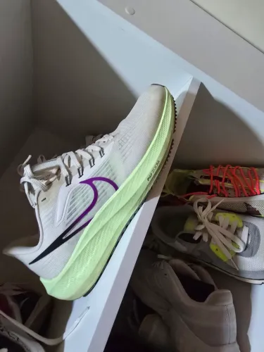 Nike pegasus air zoom 41