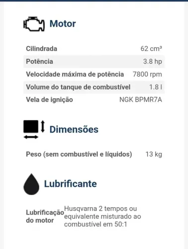 Atomizador costal