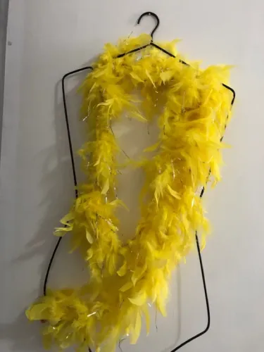 Estola de plumas (Teatro)