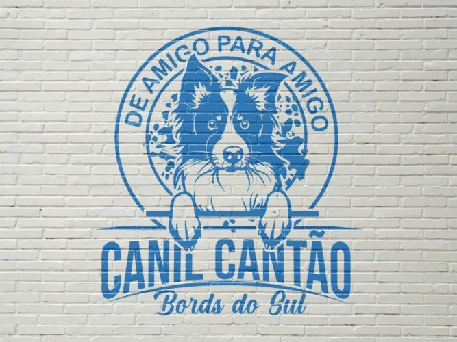 Filhotes de Border Collie Super Promoção 10x 