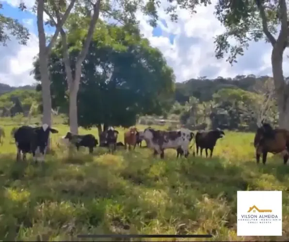 Áreas à venda em rua pública, ZONA RURAL, Ubatã, BA