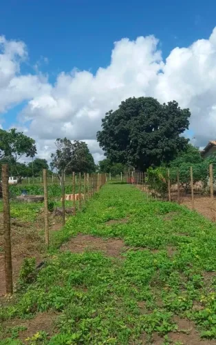 1 Tarefa de Terra no Distrito de Maria Quitéria (Feira de Santana)