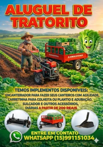 Aluguel tratorito motocultivador limpeza lote