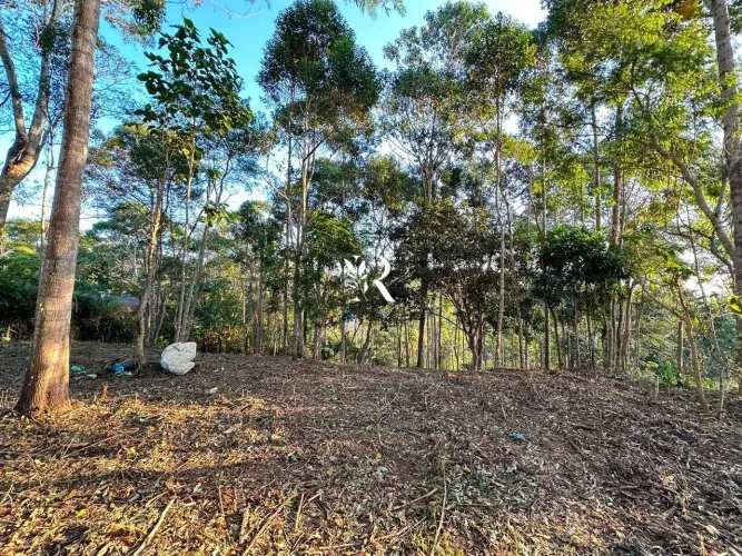 Terreno para venda em Pedro do Rio - Petrópolis - RJ