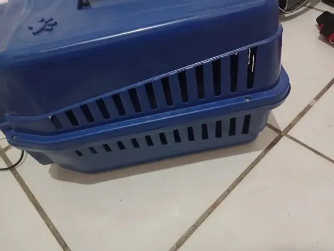 Caixa transportadora para pet