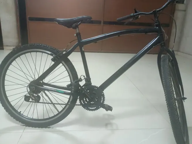 Bicleta aro 29