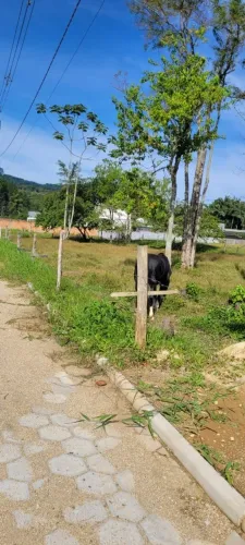 Terreno em Guabiruba - 10m de Brusque
