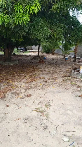 Mini Granja Venda ou aluguel, aceito troca por imóvel em PE Recife ou Caruaru
