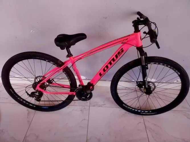 Bicicleta lotus aro 29