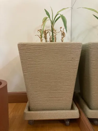Trio de Vasos