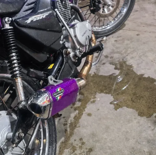 Viola racing