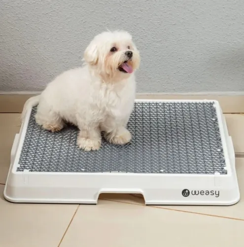 Weasy Cão. Banheiro inteligente para pet 53x70 (Pug, Shihtzu, Lhasa e cães do mesmo porte)