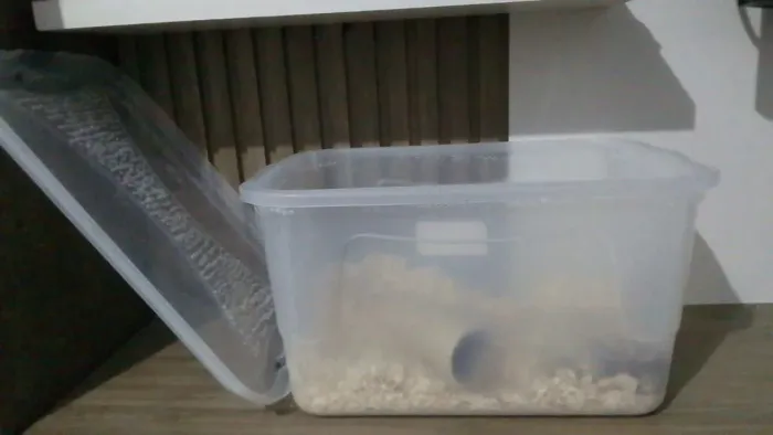Caixa organizadora para hamster