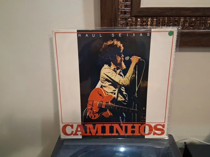 Lp disco de vinil Raul seixas caminhos.